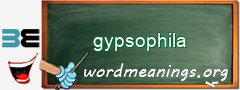 WordMeaning blackboard for gypsophila